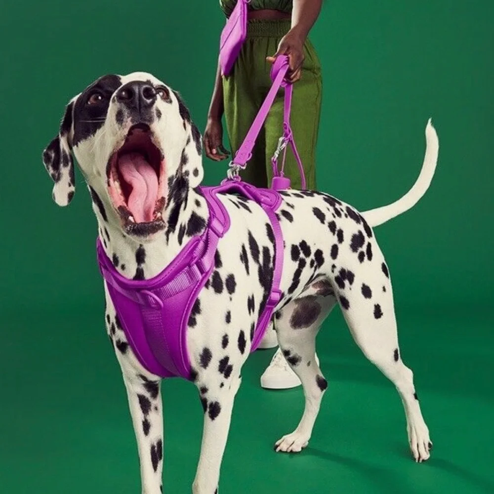 Wild One Dog Harness 3.0 - Large - Orchid